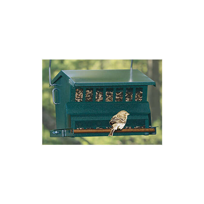 Heritage Farms Absolute Squirrel-Proof Bird Feeder - in Hampton Falls