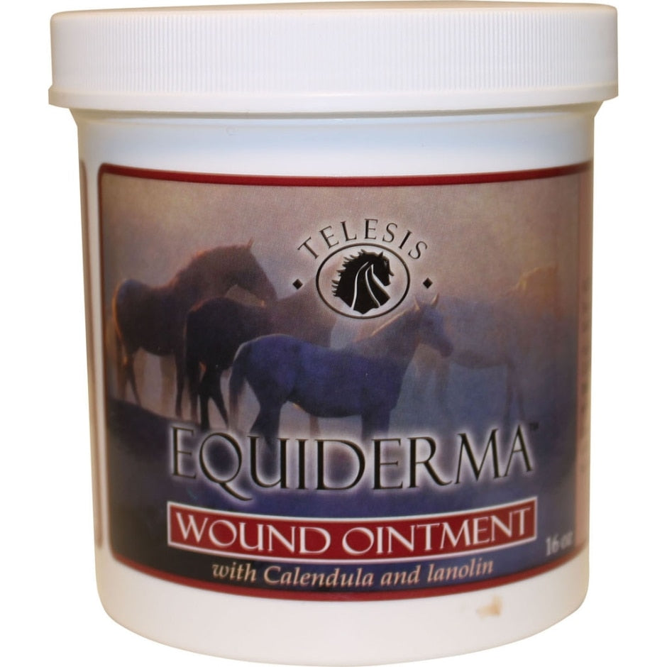EQUIDERMA WOUND OINTMENT W/CALENDULA & NEEM Hampton Falls, NH