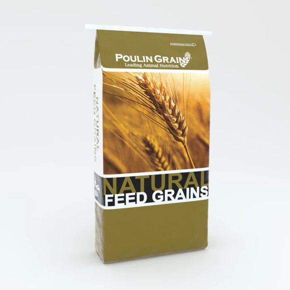 Poulin Grain Whole Corn (50 Lb)