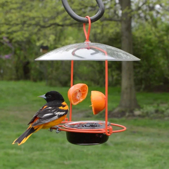 Nature's Way Wire Oriole Feeder