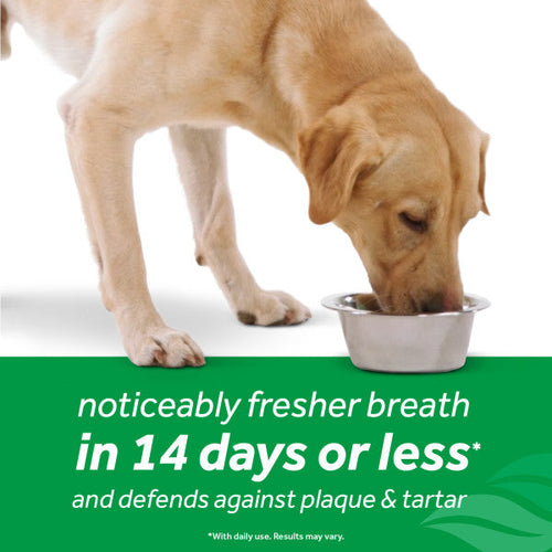 TropiClean Fresh Breath Dental Health Solution Plus Hip & Joint for Dogs (16-oz)