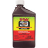 Hi-Yield 38 Plus Turf Termite And Ornamental Insect Control