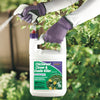 Bonide Chickweed, Clover & Oxalis Killer Ready-to-Use