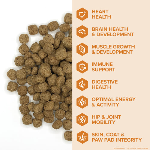 Kent Blue Seal EnTrust® Healthy Weight Chicken Meal & Barley Recipe Dog Food