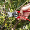 Felco 2 Pruner