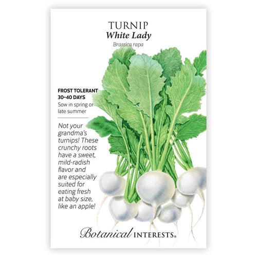 Botanical Interests Turnip White Lady