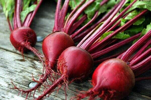 Seedway Red Ace Beet (Treated Seeds)