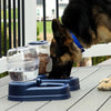 Bergan Elite Gourmet Dog Feeder