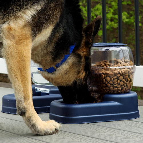 Bergan Elite Gourmet Dog Feeder