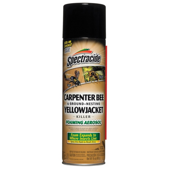 SPECTRACIDE CARPENTER BEE AND GROUND-NESTING YELLOW JACKET KILLER FOAMING AEROSOL