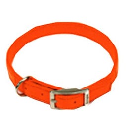 Dog Collar, Safety Orange, 1 x 22-In.