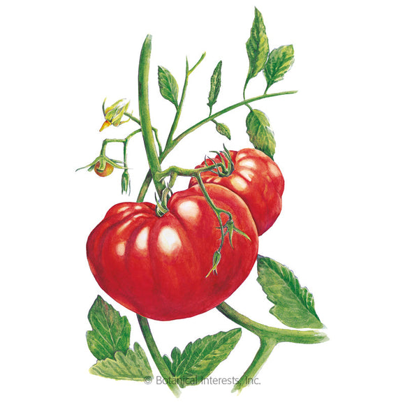 Botanical Interests Beefsteak Pole Tomato Seeds