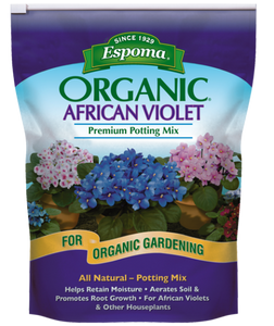 African Violet Mix