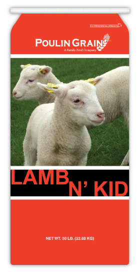Poulin Grain Lamb N' Kids Starter Pellet