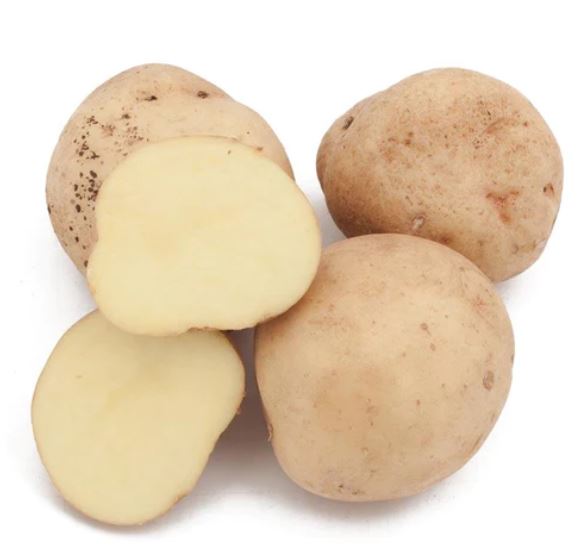 Yukon Gold Potato - Certified (Yukon Gold Potato) - Hampton Falls, NH ...