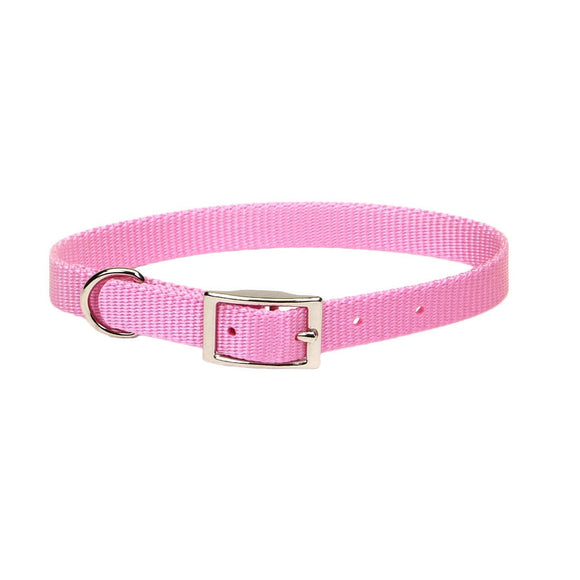 Coastal Single-Ply Dog Collar