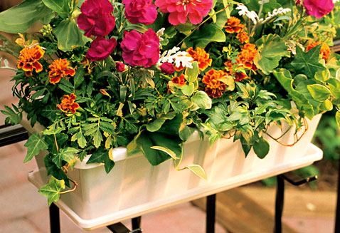 Novelty Poly-Pro Flower Planter