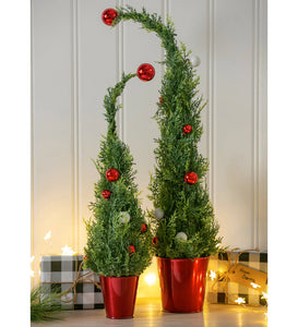 Evergreen Metal Ornaments in Jar Star/Tree 2 Designs