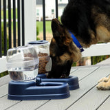 Bergan Elite Gourmet Dog Feeder